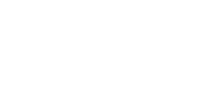 custome logo